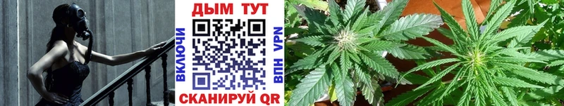 shop клад  продажа наркотиков  Сурск  Марихуана AK-47 